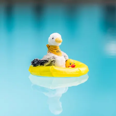 Hotel Park-hotel Hübner Rostock