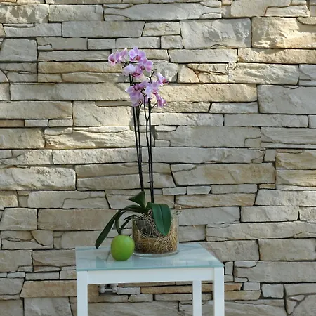 Hotel Park-hotel Hübner Rostock